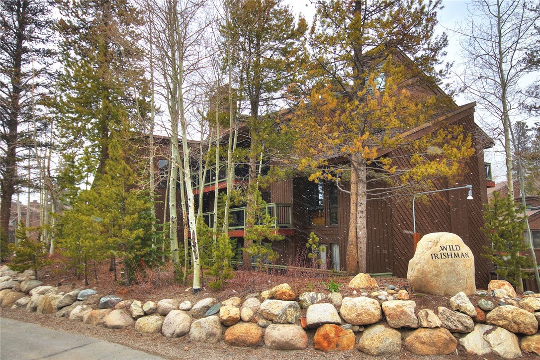 423 Wild Irishman Road, Unit 1014 Keystone, CO 80435 - Photo 21 of 21 Gallery Image 21