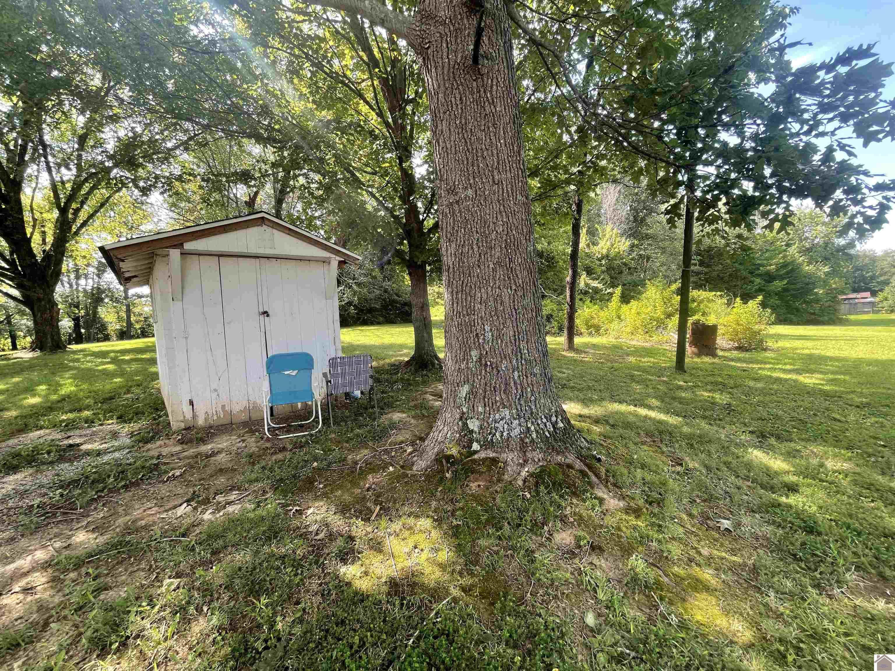 4419 Radio Road Dexter, KY 42036 - Photo 31 of 31 Photo 31
