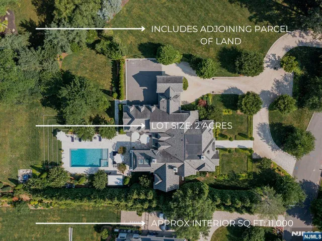 a living room with furniture windows and a potted plant