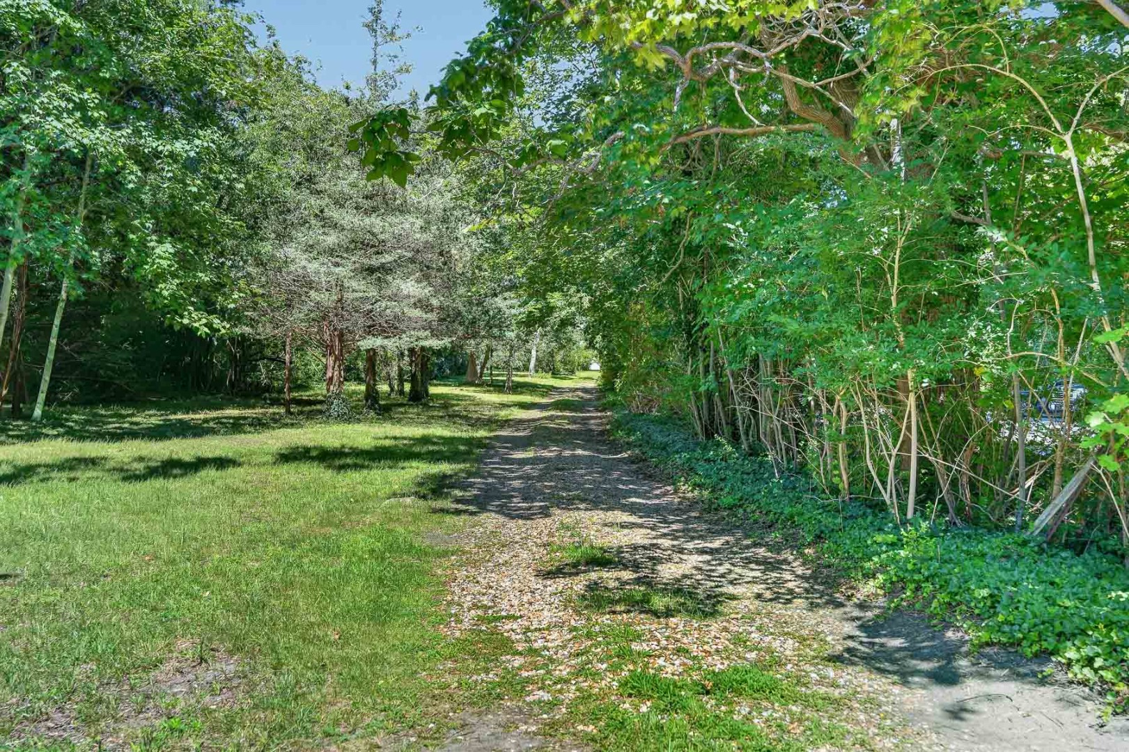 171 Upper Main Street Edgartown, MA 02539 - Photo 3 of 11 Private country road to property