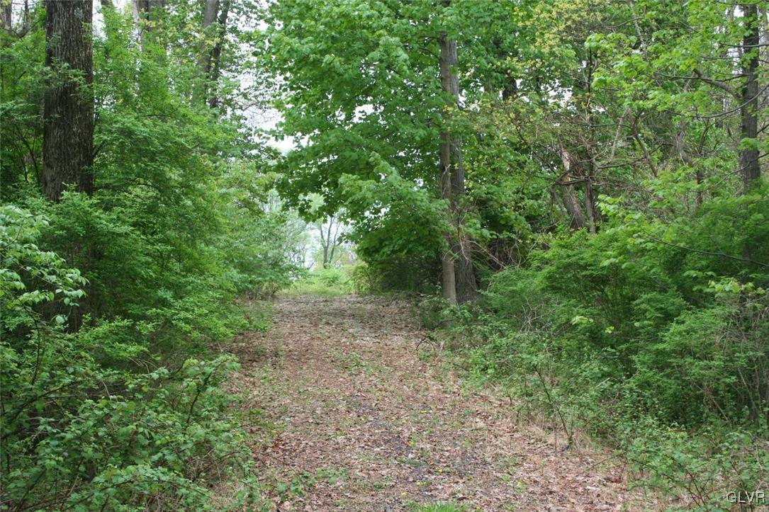 3916 Kutz Road Temple, PA 19560 - Photo 11 of 19 Gallery Image 11