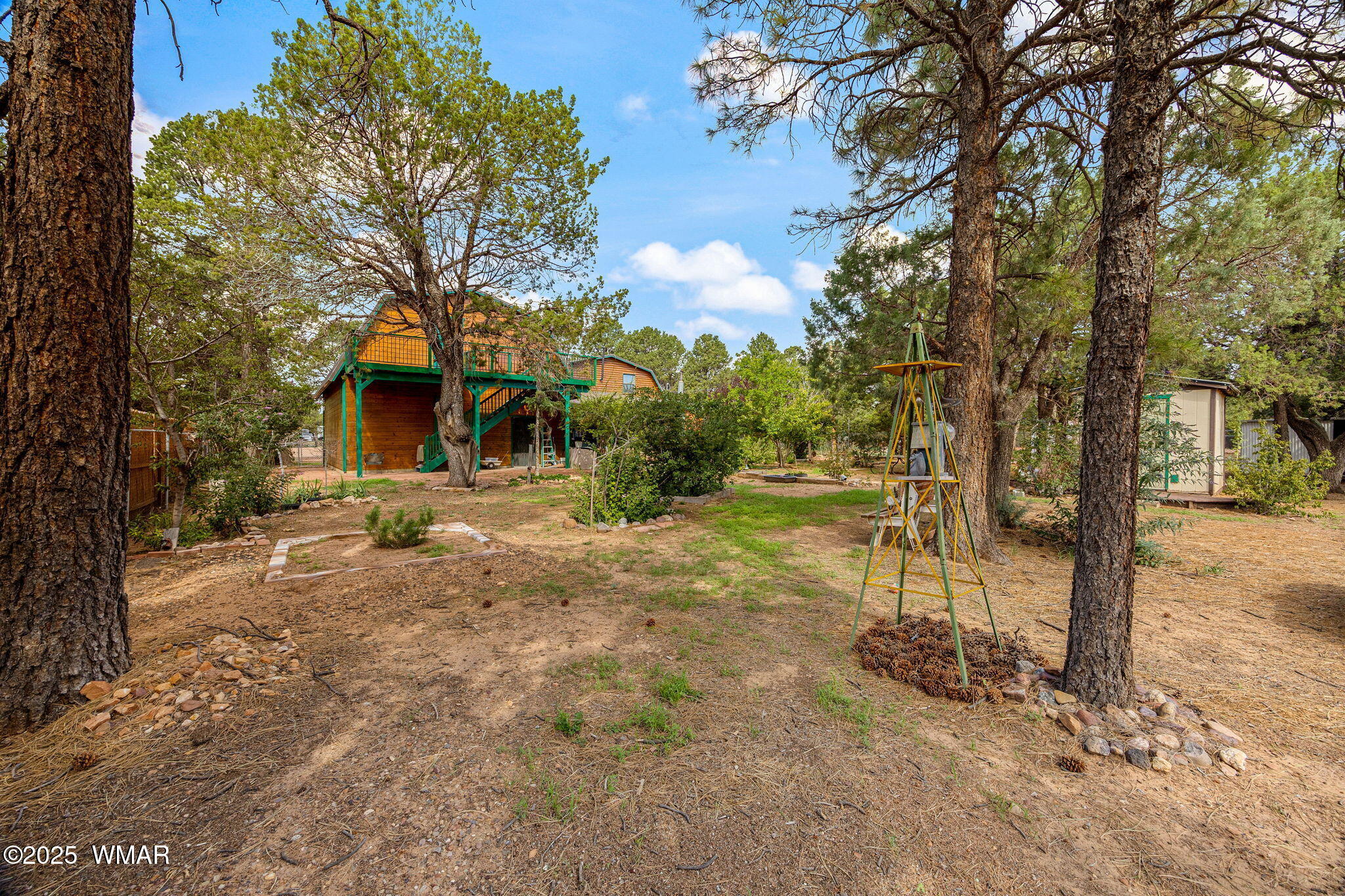2933 Wildcat Trail Overgaard, AZ 85933 - Photo 32 of 44 a view of a yard with plants and trees