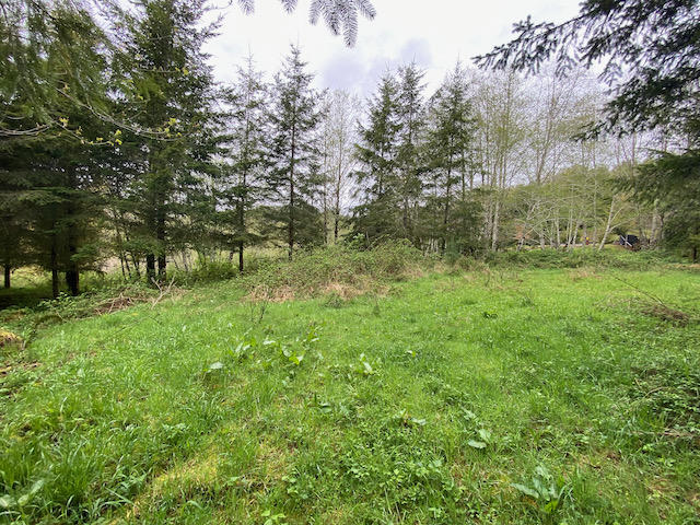 109 Trask River Road Tillamook, OR 97141 - Photo 12 of 21 IMG_7988