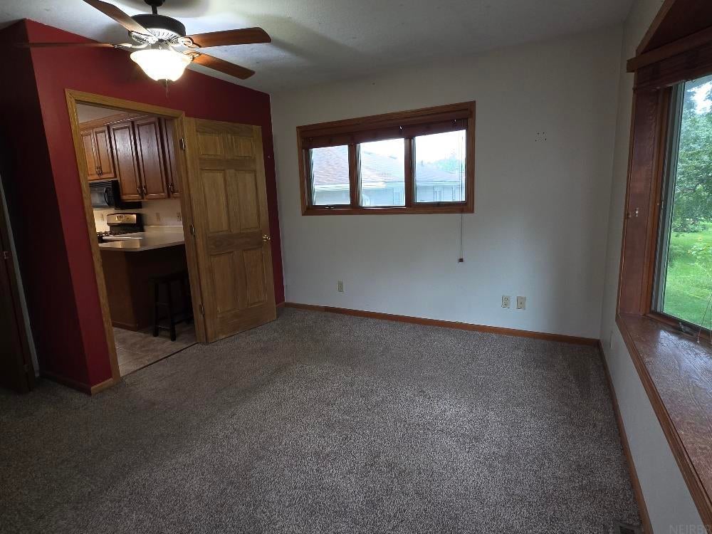 407 Commercial Street Strawberry Point, IA 52076 - Photo 28 of 40 Gallery Image 28