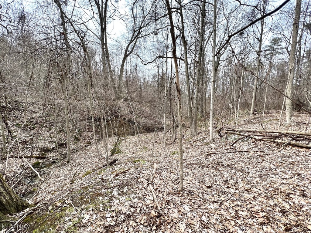 1 Robinson Road Chardon, OH 44024 - Photo 11 of 17