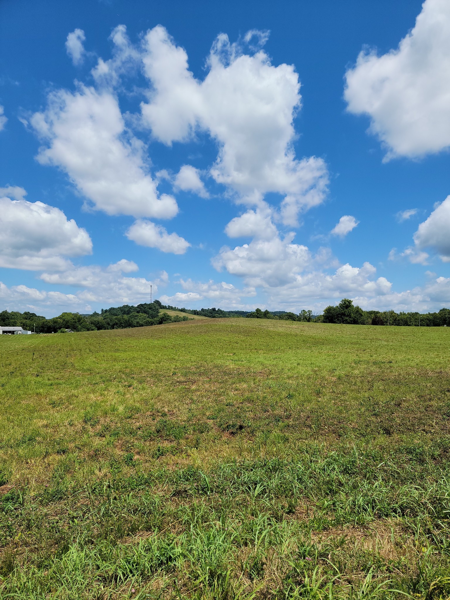 0 Oscar Crowell Road Beechgrove, TN 37018 - Photo 1 of 3