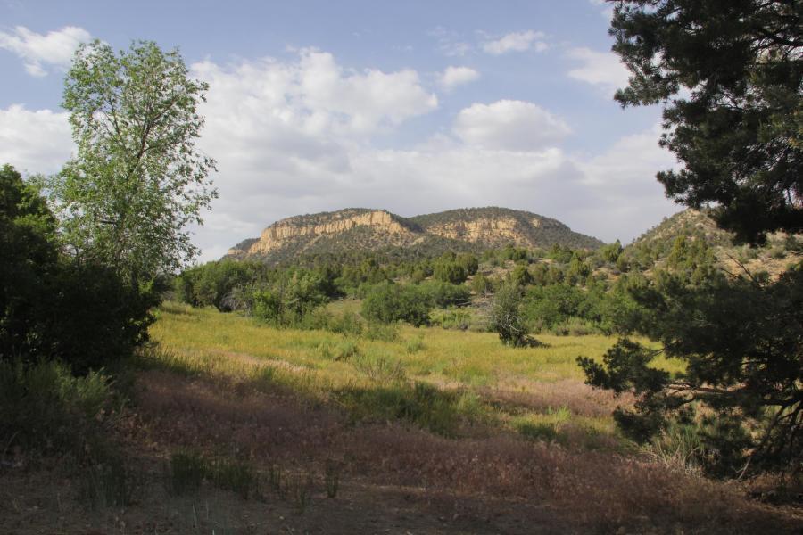 491.34-ac Mineral Spring Road Mount Carmel, UT 84755 - Photo 34 of 43 20260730223244711987000000-o