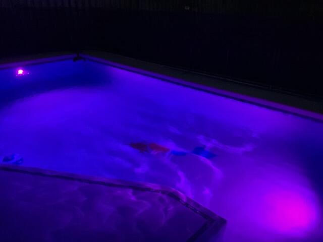 311 Granada Street Fort Pierce, FL 34949 - Photo 42 of 59 IMG_0353