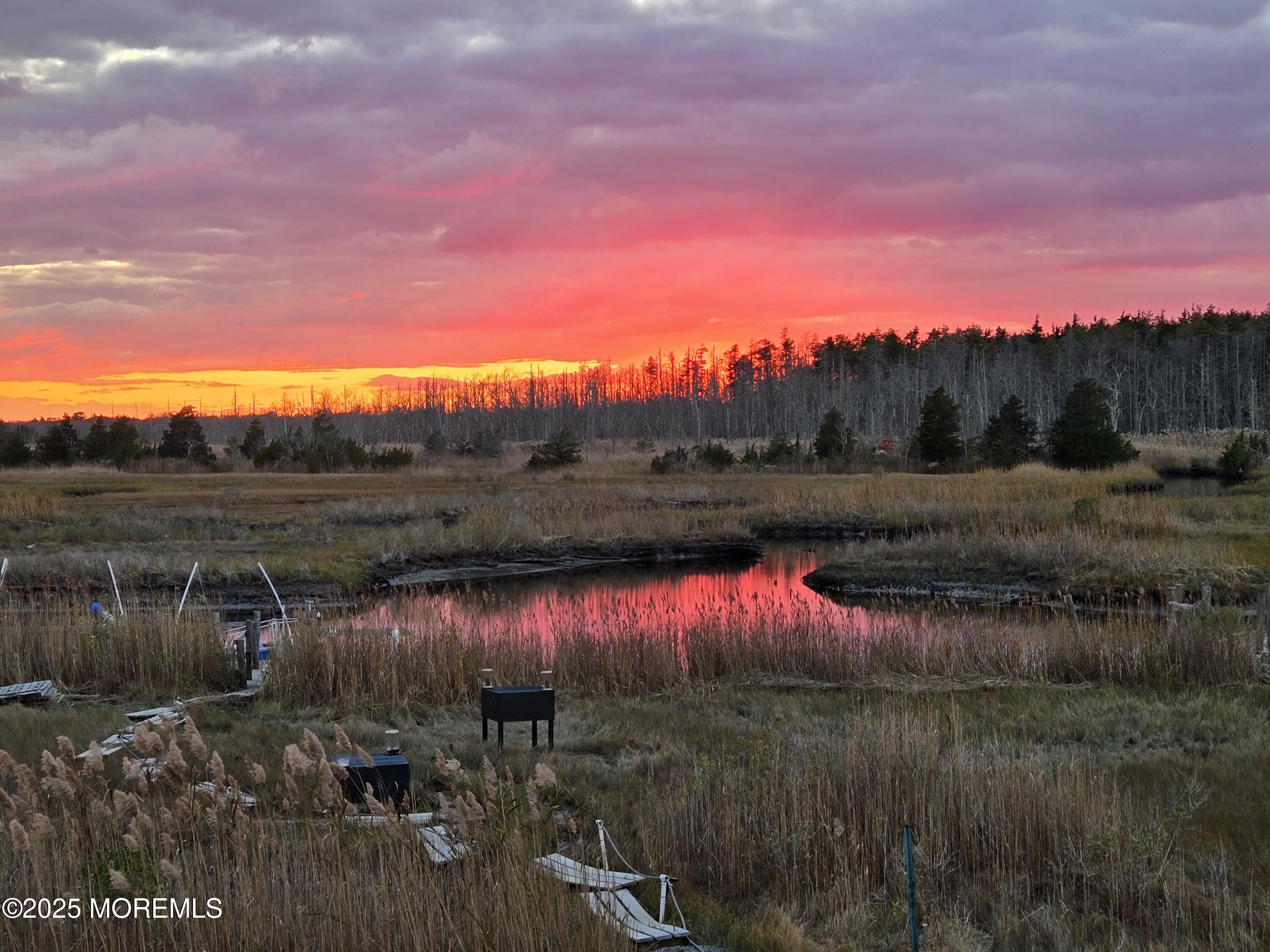 637 Cedar Run Dock Road West Creek, NJ 08092 - Photo 49 of 51 a view of outdoor space and yard