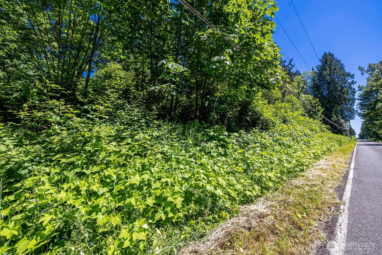 18901 Welch Road Snohomish, WA 98296 - Photo 13 of 25