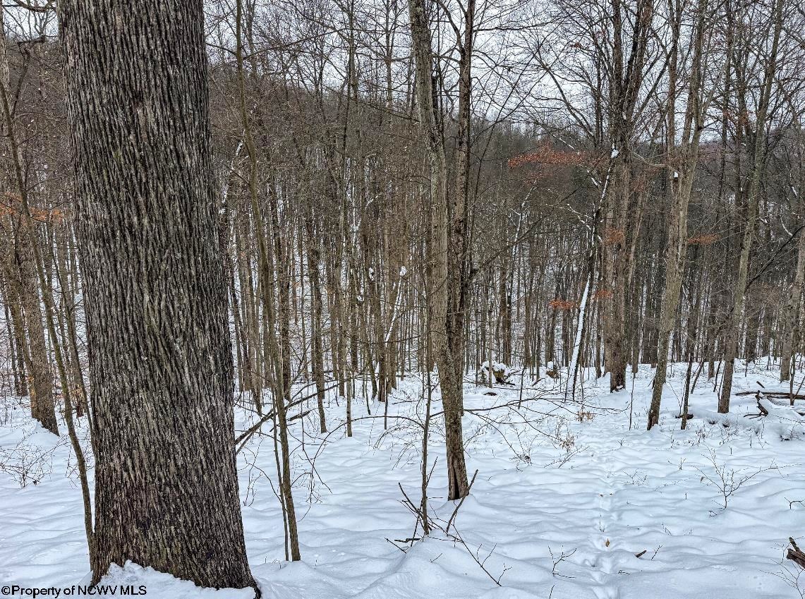 Tbd Upper Murray Road Mannington, WV 26582 - Photo 3 of 25 Gallery Image 3