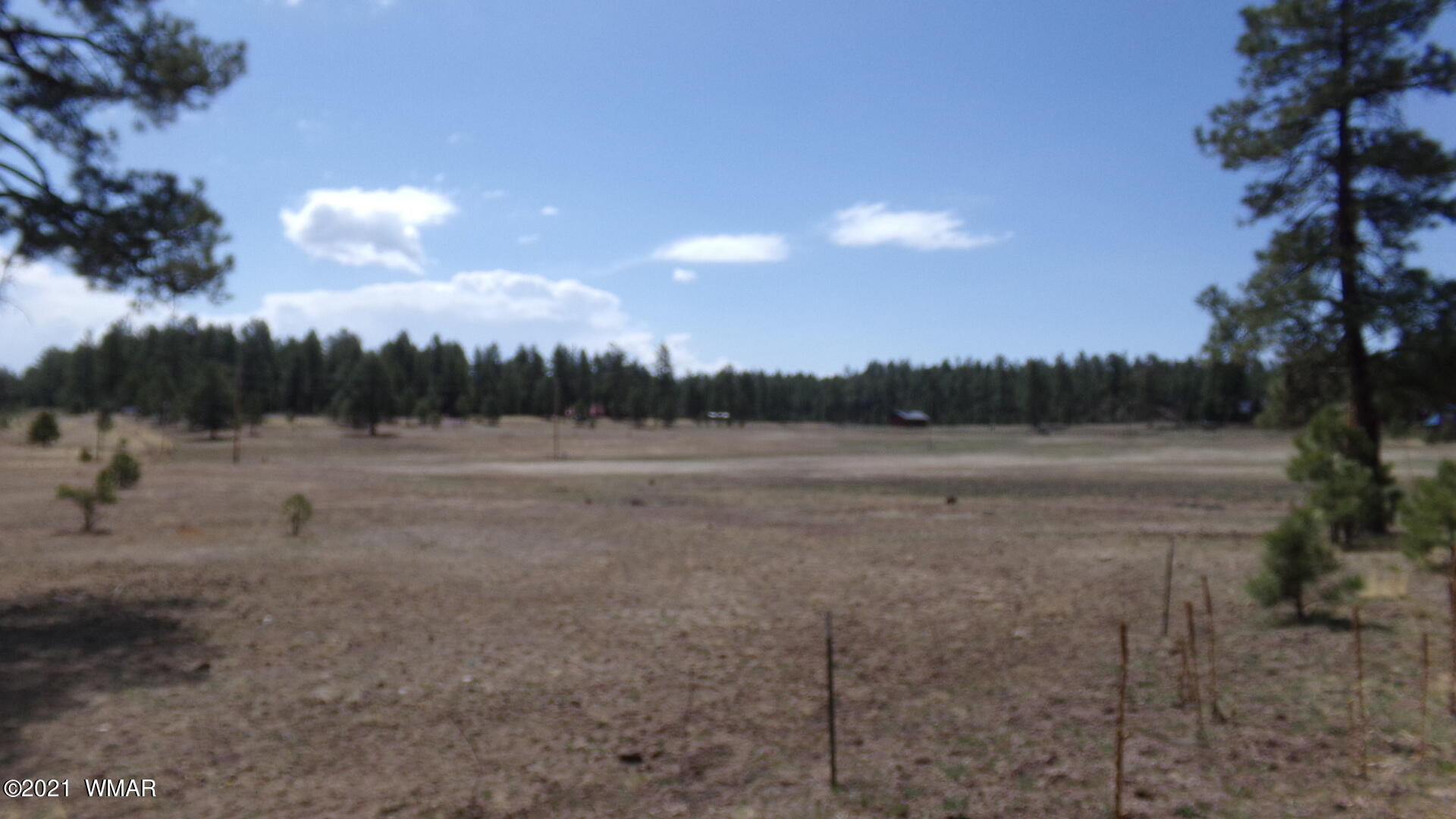 24 County Road 2089 Alpine, AZ 85920 - Photo 1 of 6