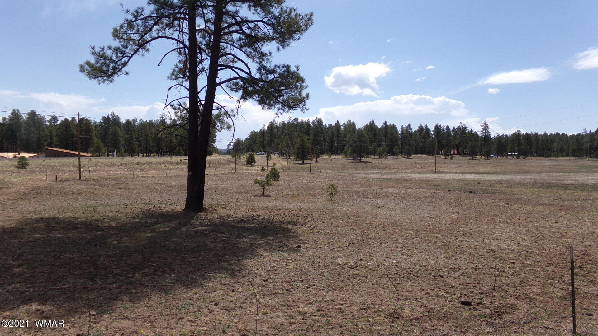 24 County Road 2089 Alpine, AZ 85920 - Photo 3 of 6