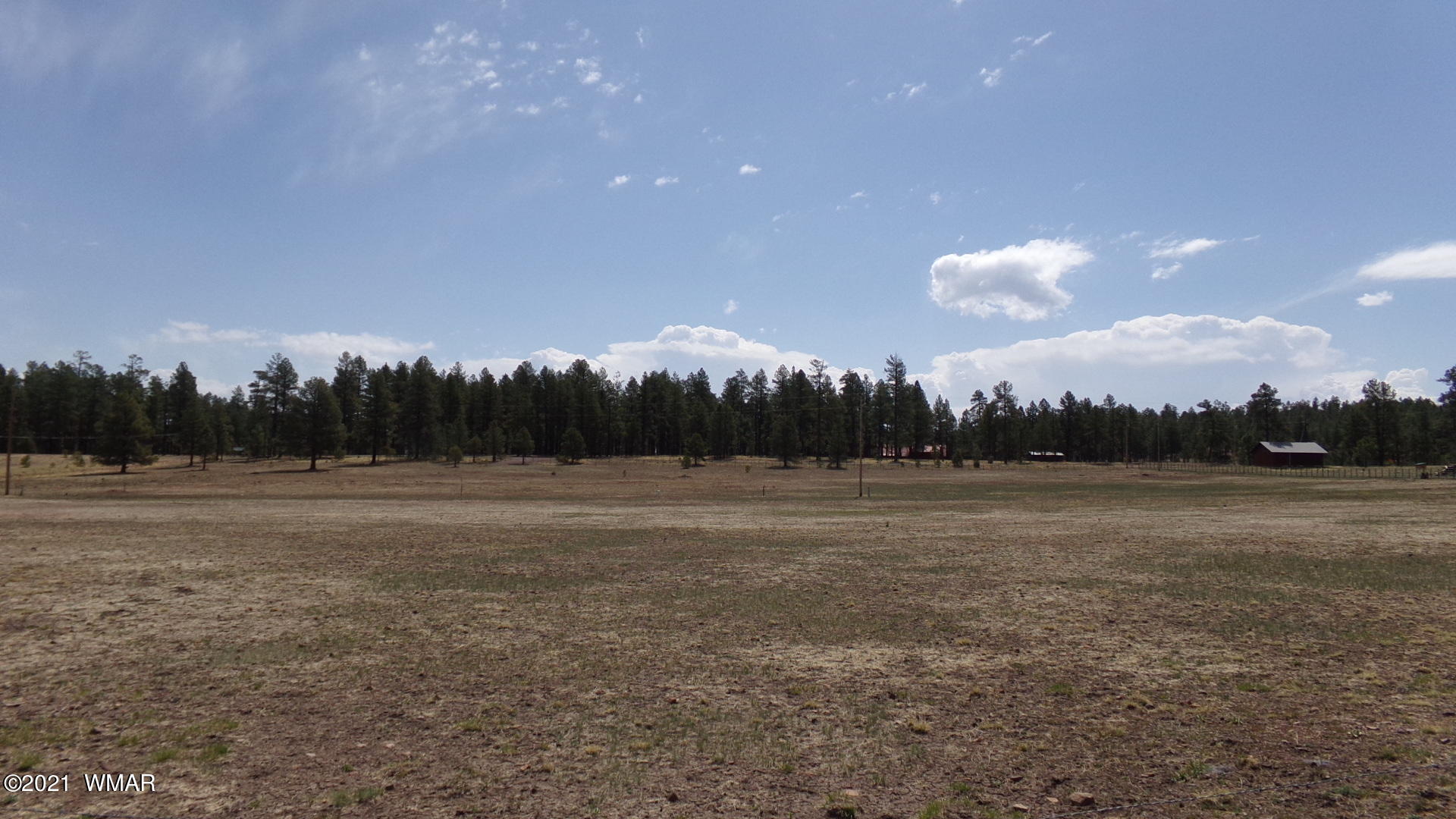 24 County Road 2089 Alpine, AZ 85920 - Photo 4 of 6