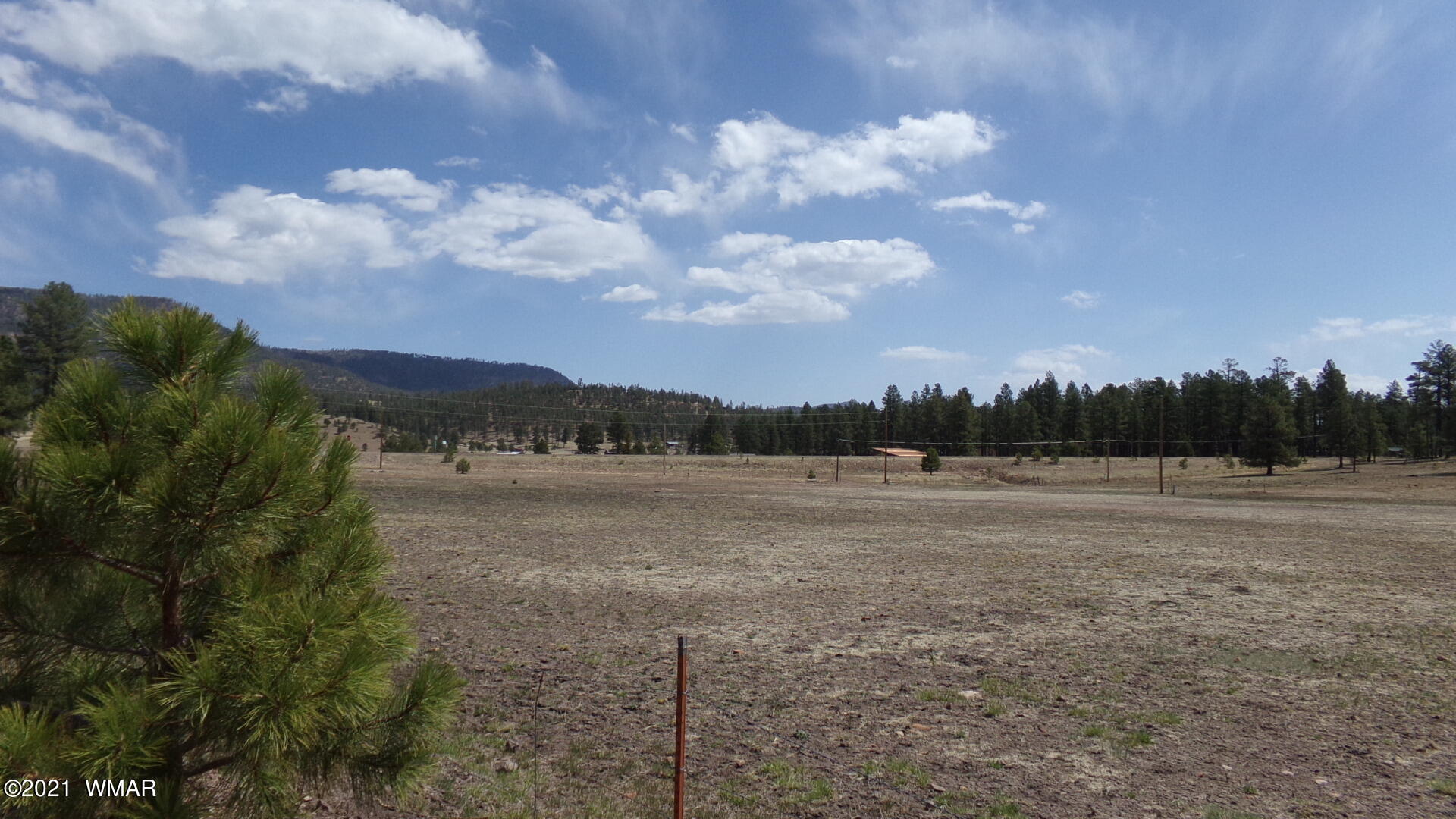 24 County Road 2089 Alpine, AZ 85920 - Photo 5 of 6
