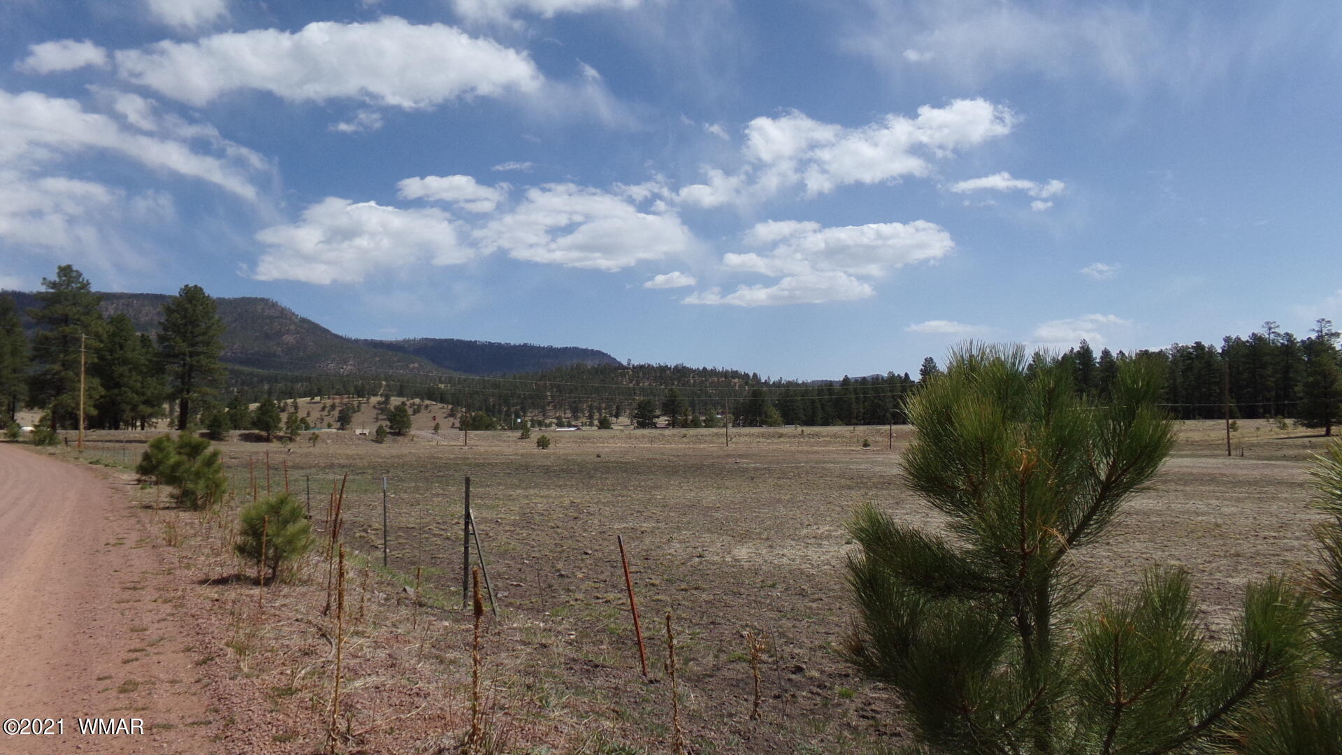 24 County Road 2089 Alpine, AZ 85920 - Photo 6 of 6