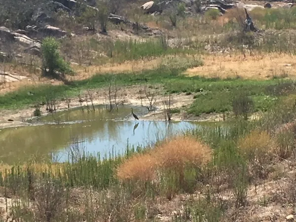 a view of lake