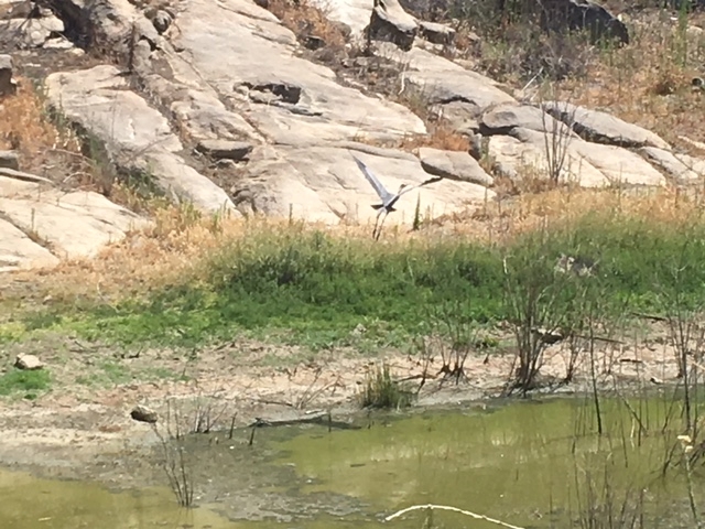 1388 Harris Ranch Road Potrero, CA 91963 - Photo 13 of 25