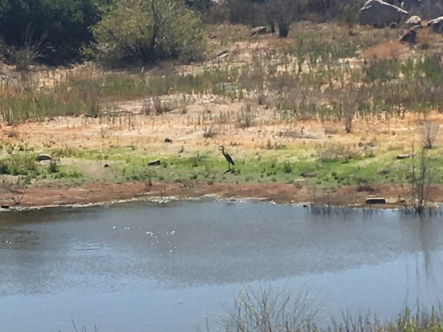 1388 Harris Ranch Road Potrero, CA 91963 - Photo 15 of 25 a view of a lake view
