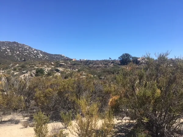 a view of city and mountain