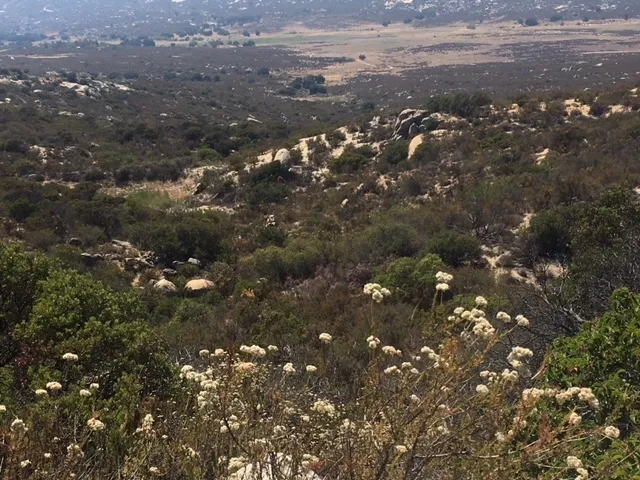 a view of ocean view