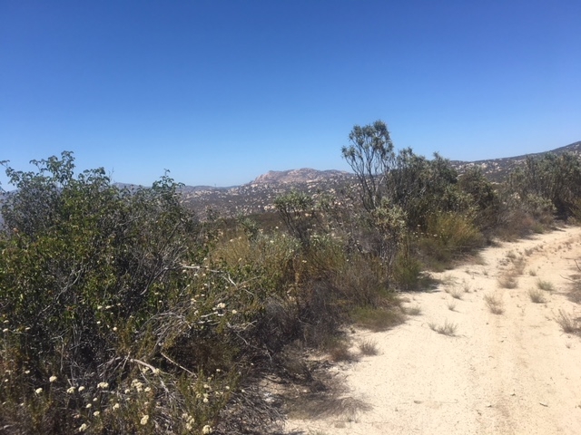 1388 Harris Ranch Road Potrero, CA 91963 - Photo 20 of 25 a view of a covered with snow in the background