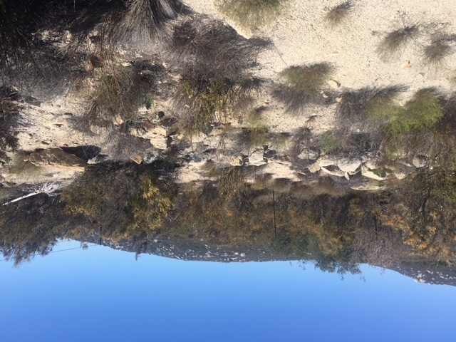 1388 Harris Ranch Road Potrero, CA 91963 - Photo 21 of 25