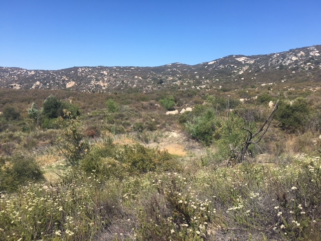 1388 Harris Ranch Road Potrero, CA 91963 - Photo 25 of 25 a view of a mountain