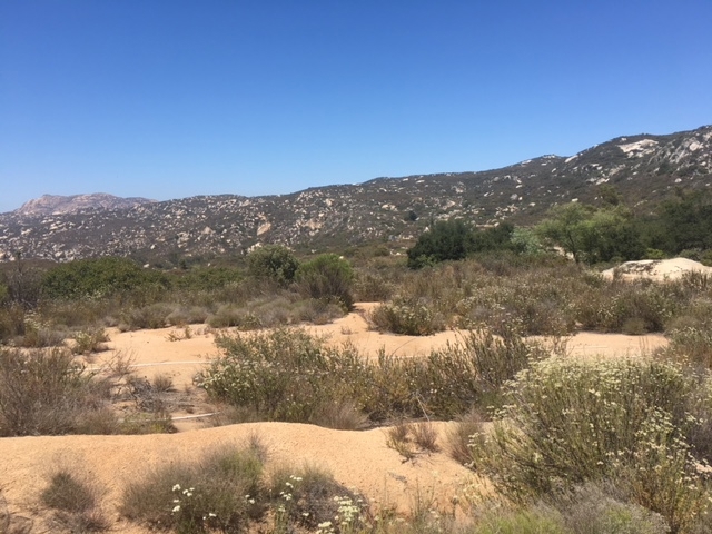 1388 Harris Ranch Road Potrero, CA 91963 - Photo 5 of 25 a view of mountain view with mountains
