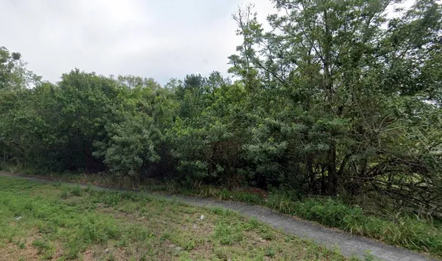 $30,000 | 0 Mitchell Avenue, Mims, FL 32754