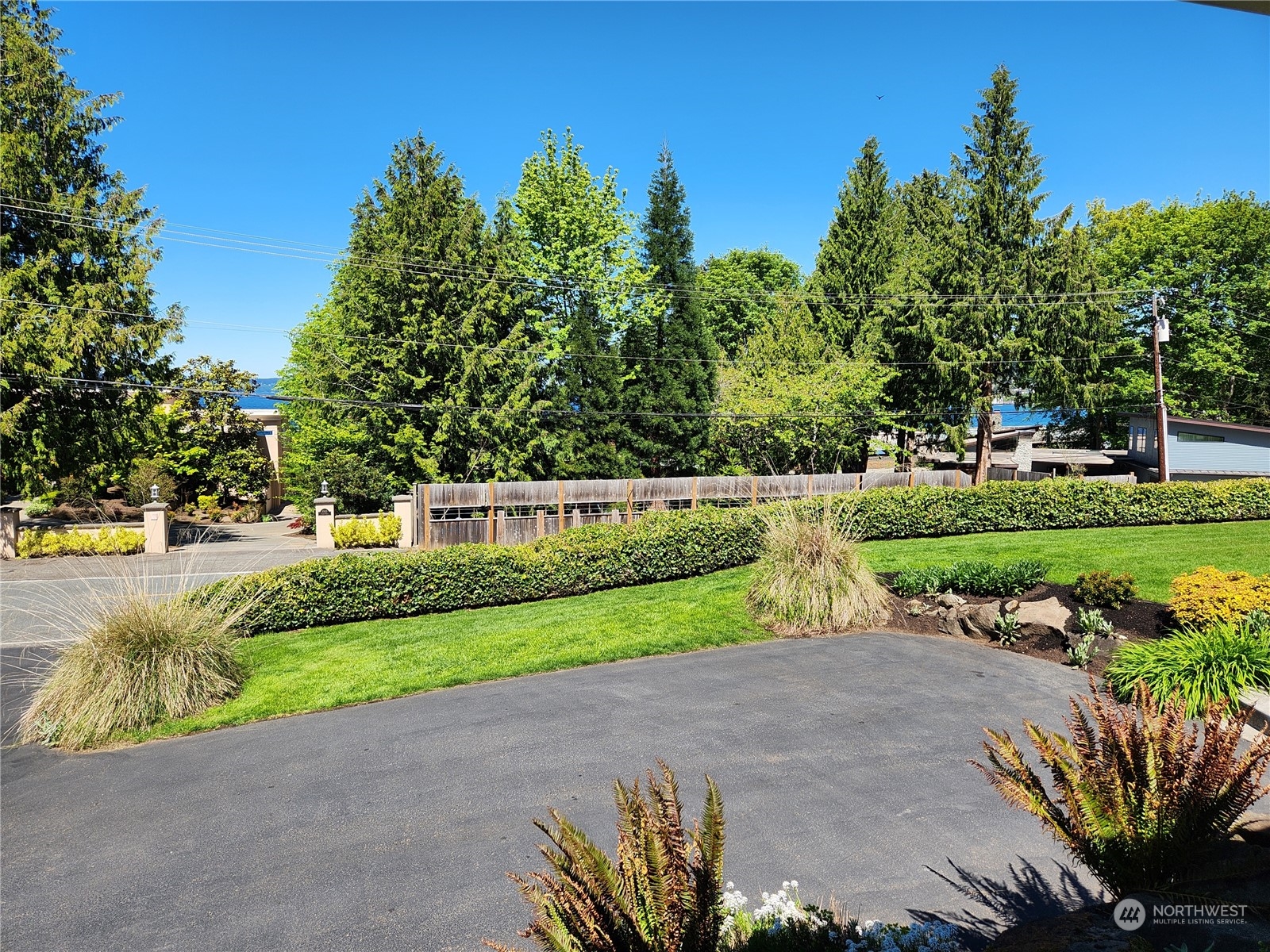 8498 Talbot Road Edmonds, WA 98026 - Photo 2 of 30 a view of a park with large trees