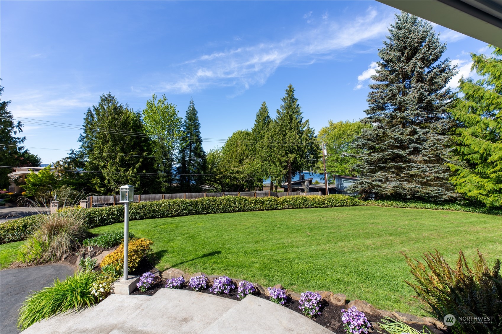 8498 Talbot Road Edmonds, WA 98026 - Photo 26 of 30 a view of a park with plants and a large tree
