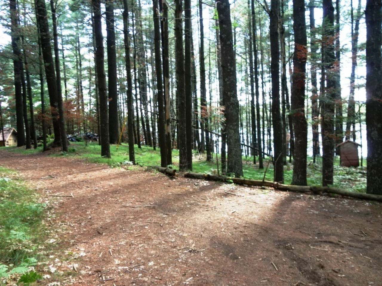 Lot 2 Bassett Road Minocqua, WI 54548 - Photo 5 of 15 Gallery Image 5