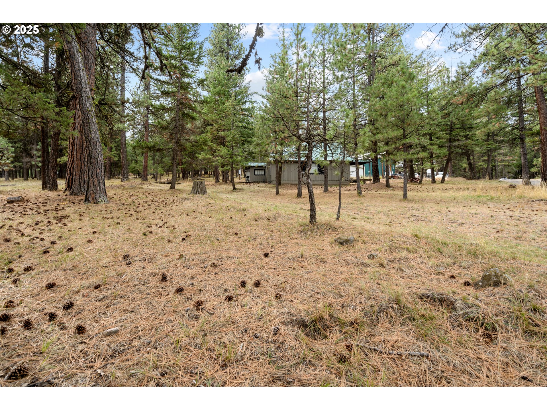 80982 Cougar Lane Heppner, OR 97836 - Photo 27 of 46 a view of yard with trees