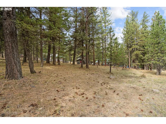 a view of outdoor space with trees