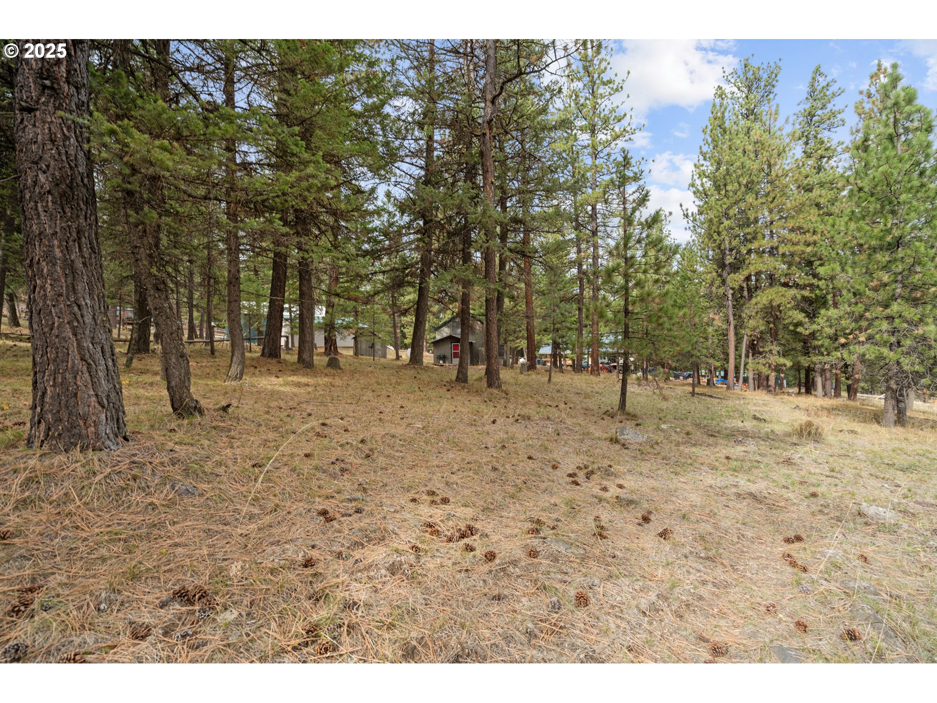 80982 Cougar Lane Heppner, OR 97836 - Photo 28 of 46 a view of outdoor space with trees
