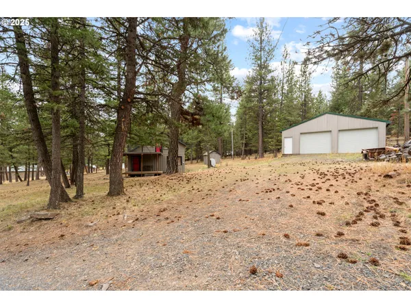 a backyard of a house with large trees