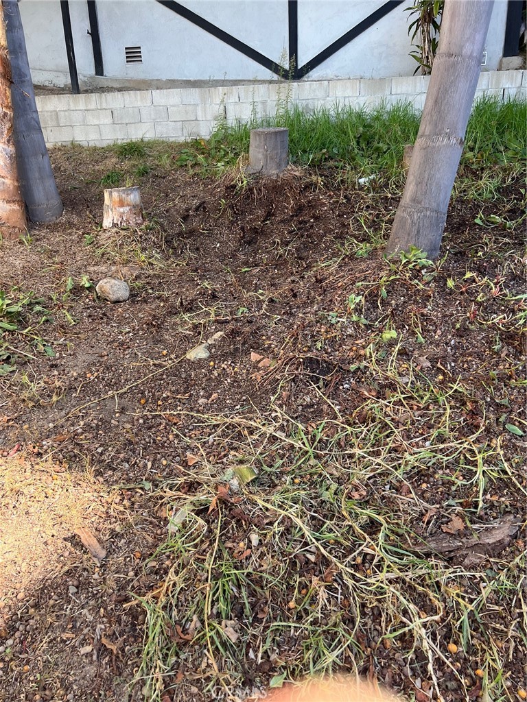 34152 Crystal Lantern Dana Point, CA 92629 - Photo 17 of 21 a view of a backyard