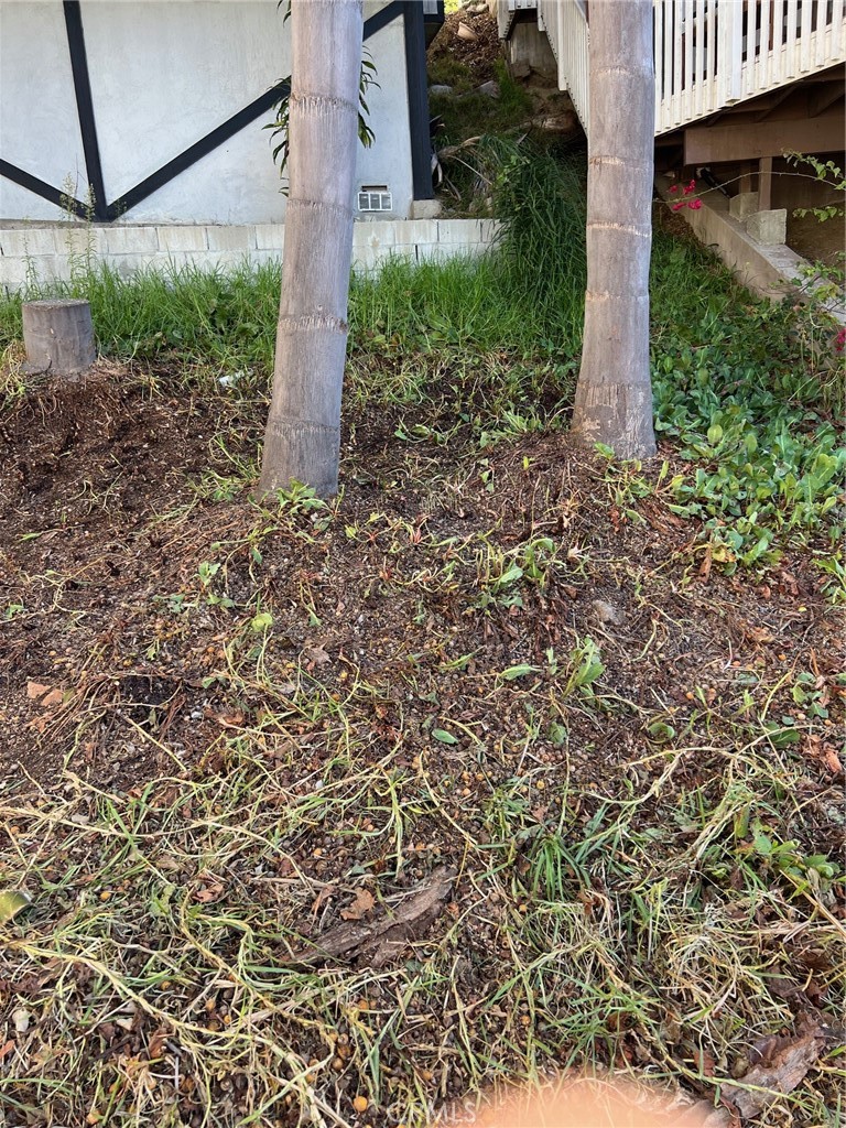 34152 Crystal Lantern Dana Point, CA 92629 - Photo 18 of 21 a view of a pathway with a tree