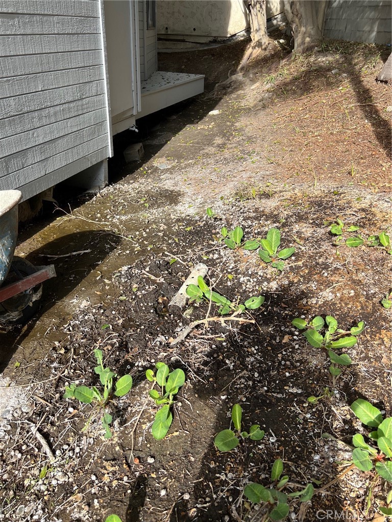 34152 Crystal Lantern Dana Point, CA 92629 - Photo 20 of 21 a backyard of a house