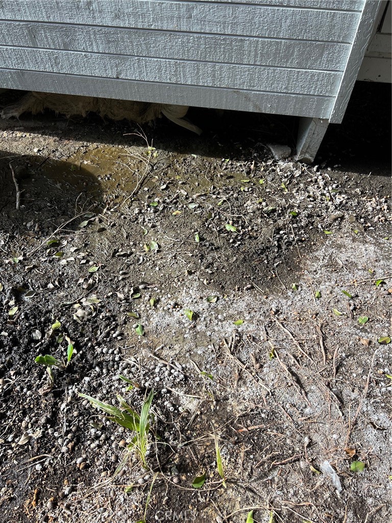 34152 Crystal Lantern Dana Point, CA 92629 - Photo 21 of 21 a view of a yard