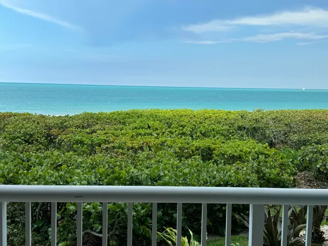 a view of a green space with sea