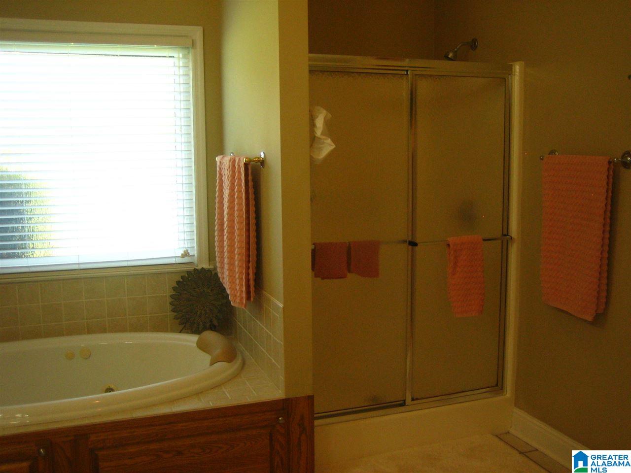 106 Oak Ridge Lane Clanton, AL 35045 - Photo 24 of 44