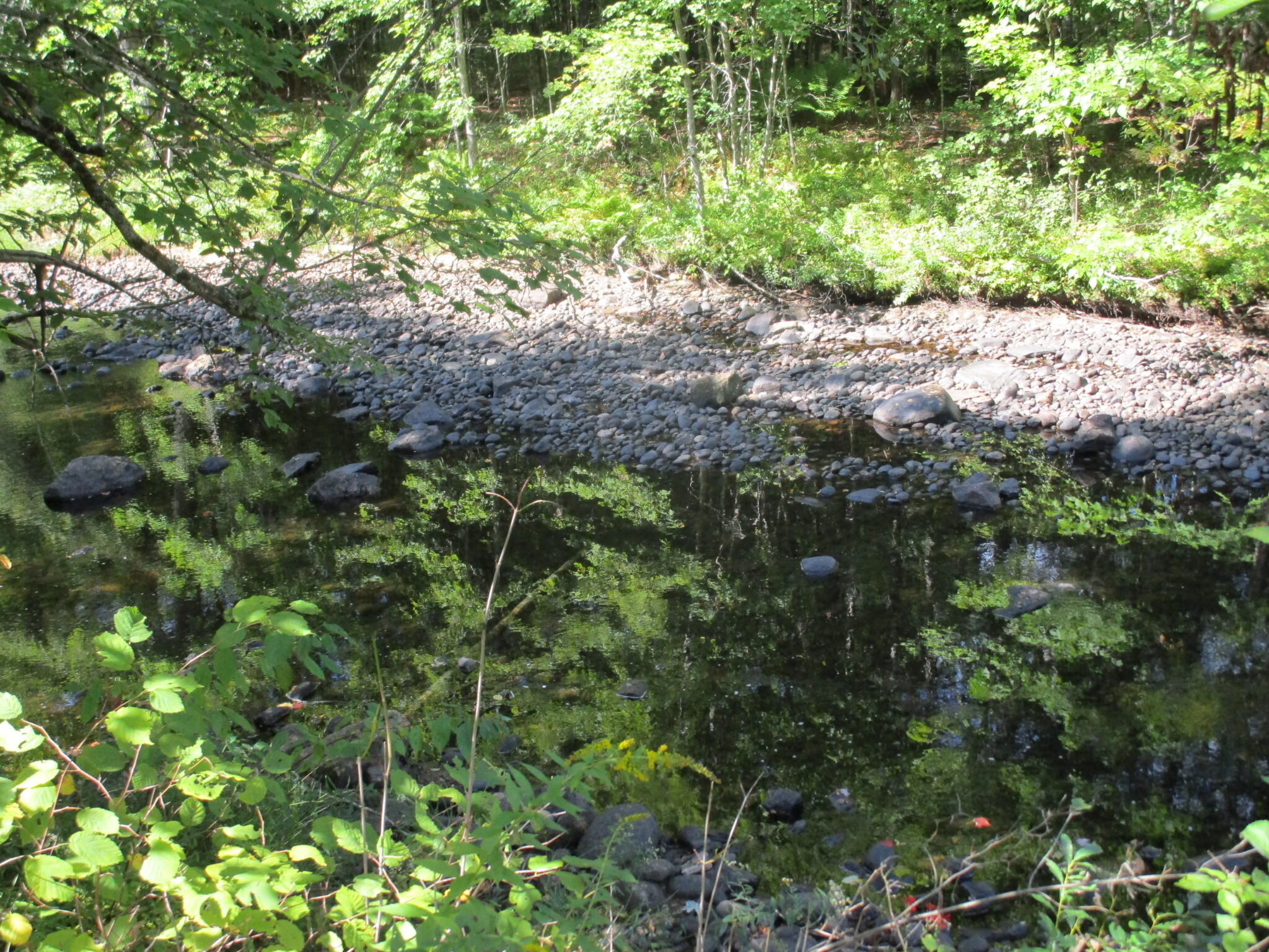 590 West Paris Road Greenwood, ME 04255 - Photo 36 of 39 IMG_2707