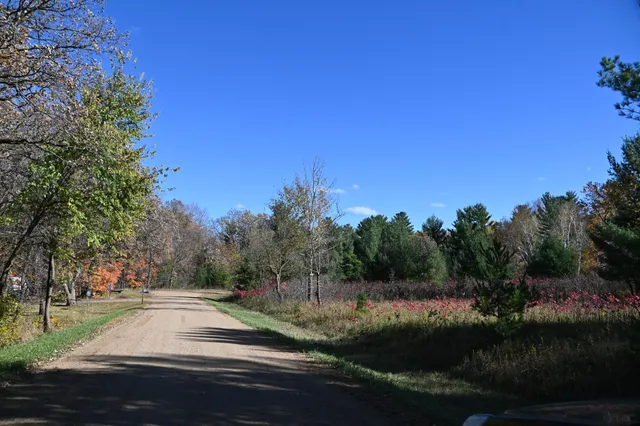 $17,500 | Tbd Pike Court, Browerville, MN 56438