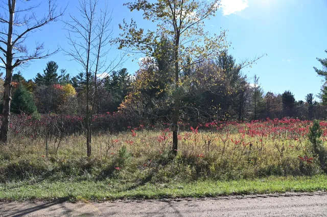 $17,500 | Tbd Pike Court, Browerville, MN 56438