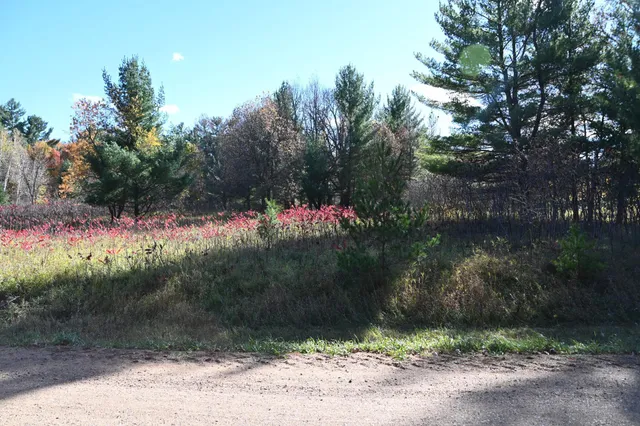 $17,500 | Tbd Pike Court, Browerville, MN 56438