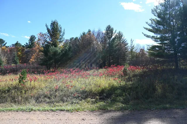$17,500 | Tbd Pike Court, Browerville, MN 56438