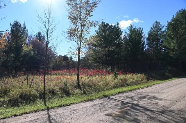 $17,500 | Tbd Pike Court, Browerville, MN 56438