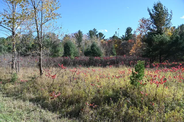 $17,500 | Tbd Pike Court, Browerville, MN 56438